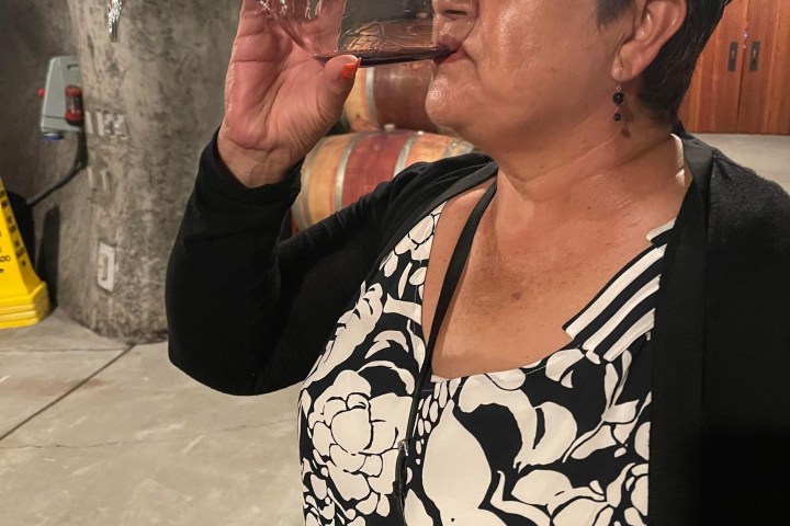 a person holding a cell phone