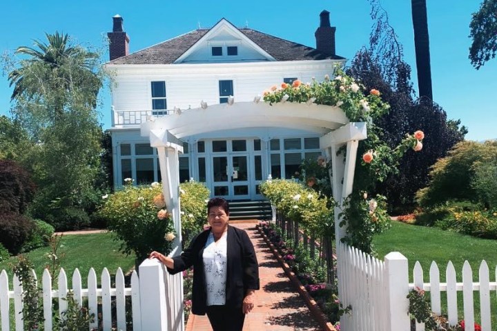 a house with a fence in front of a palm tree
