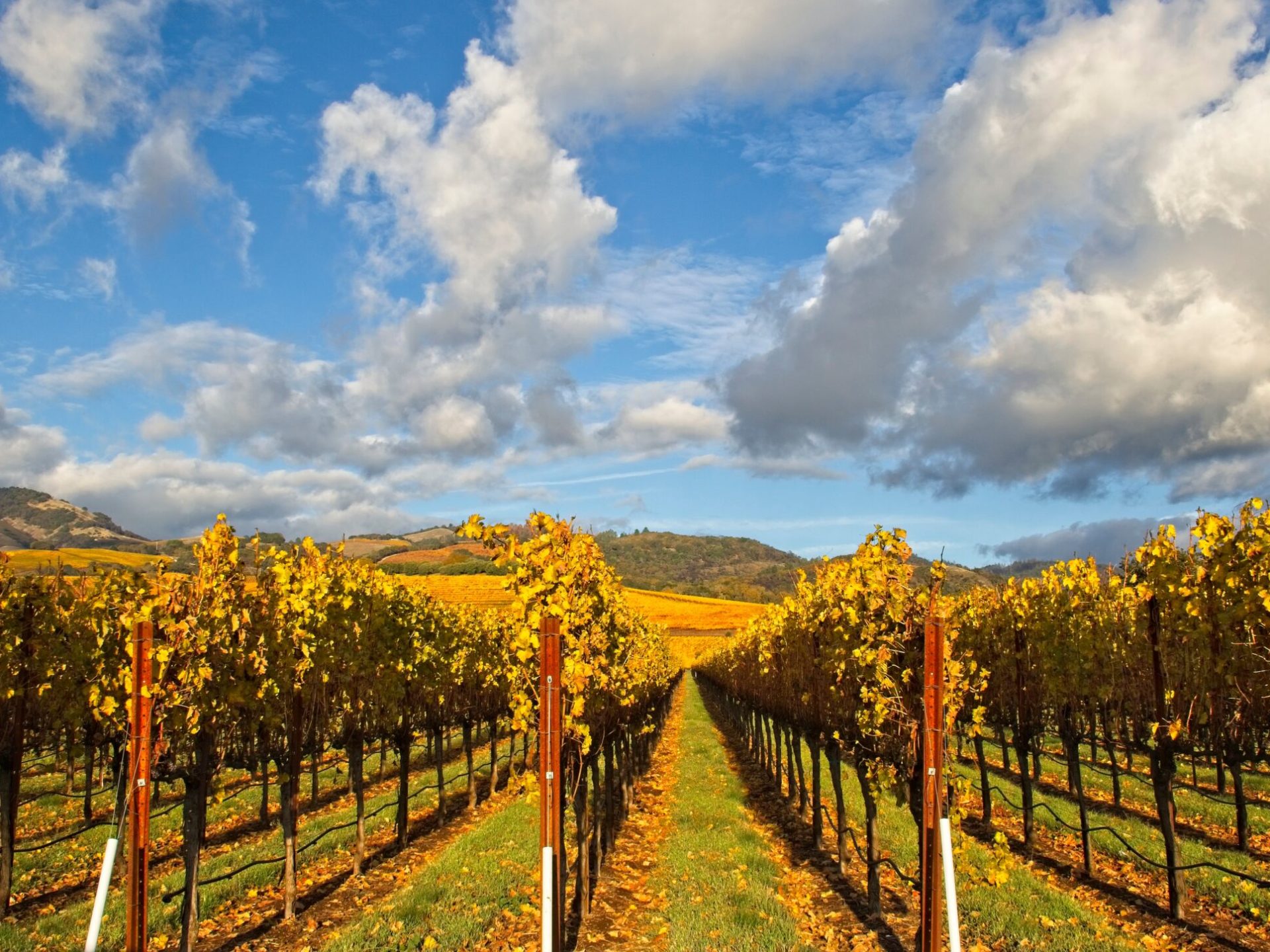 a large long train on a cloudy day