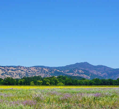 f184b7_c3609f1590bf4ab1a45f2bdd69c70810 a large green field with a mountain in the background